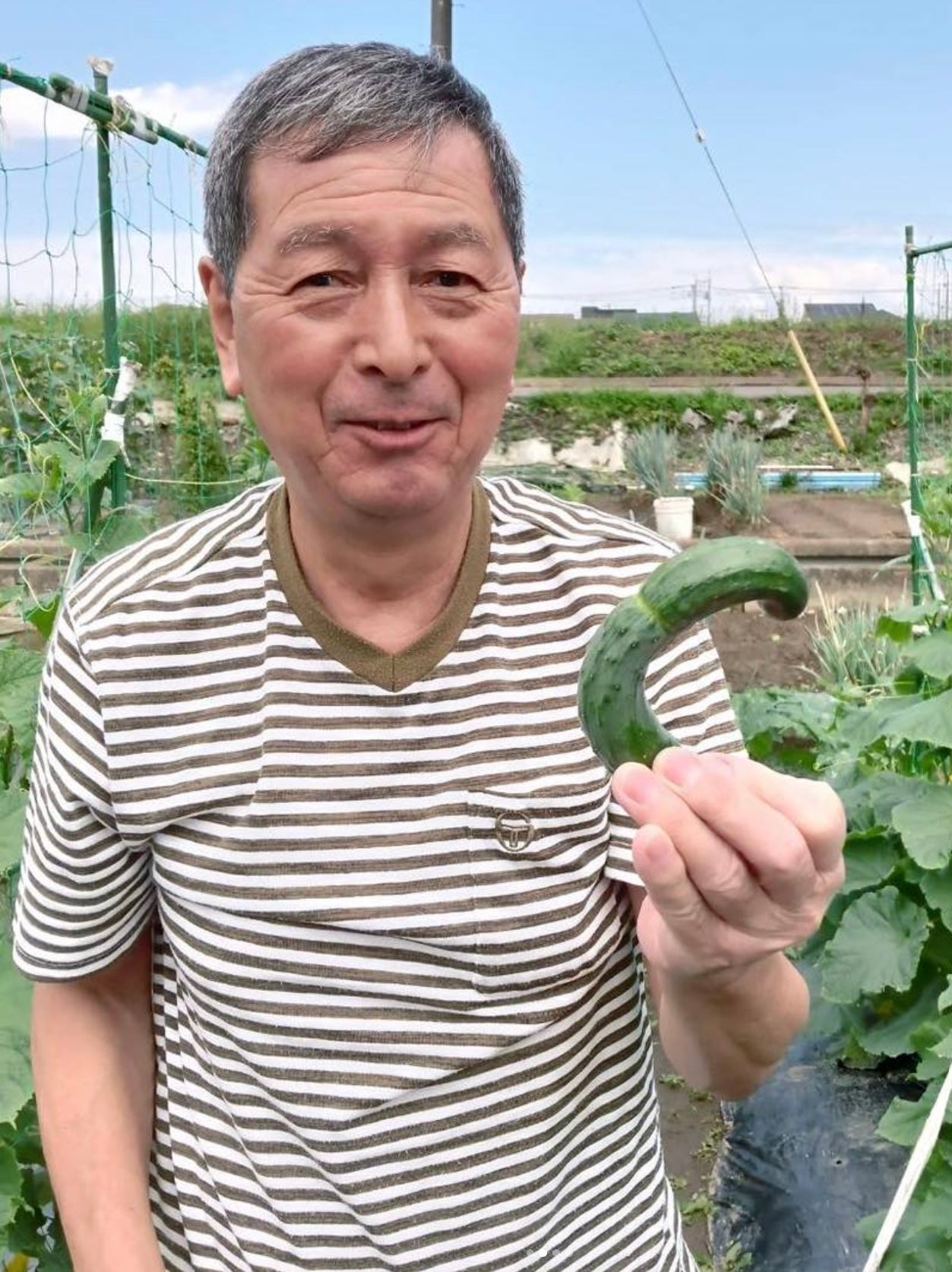 Dad's Favorite Mugicha - Barley Tea (loose leaf)